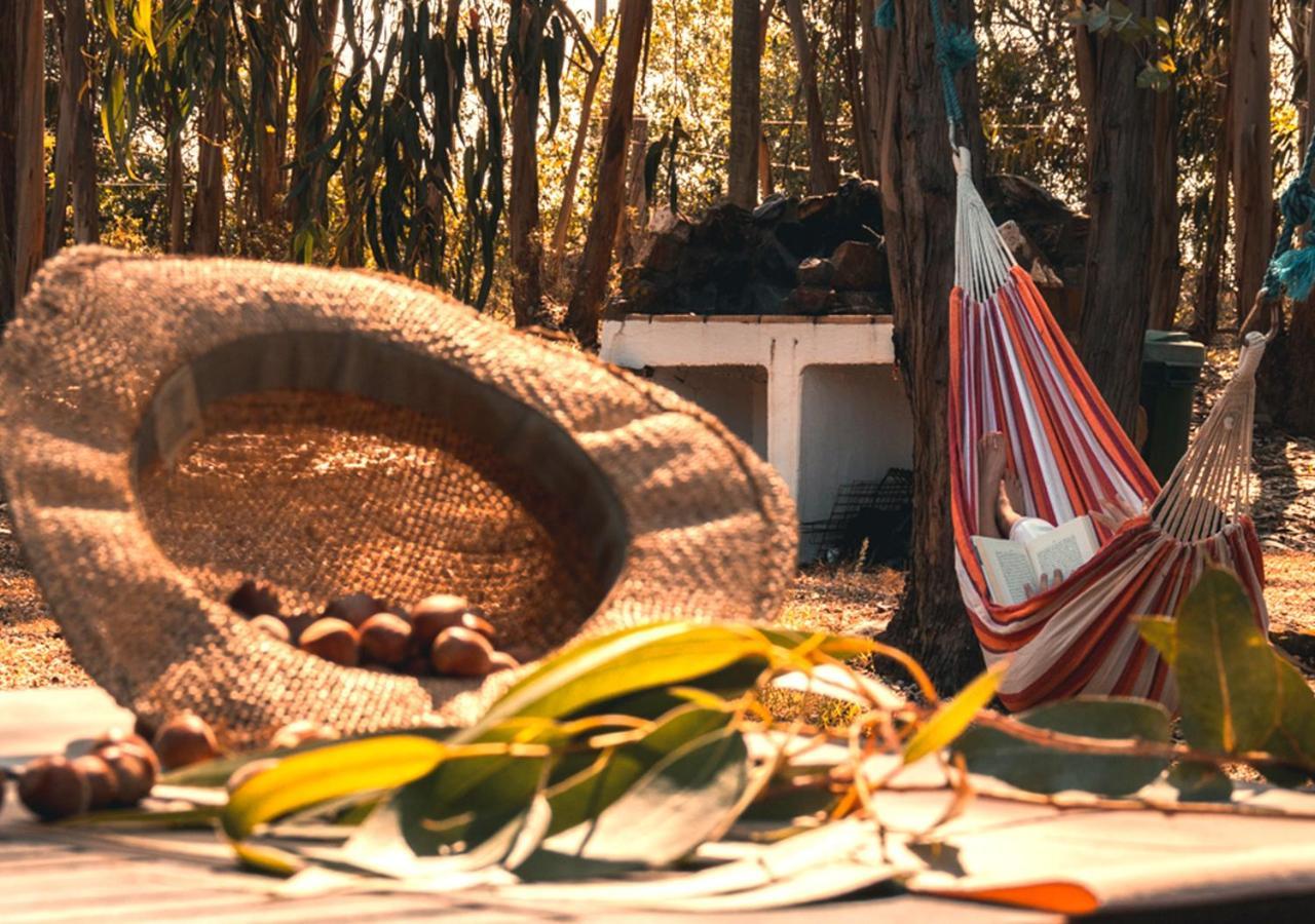 Maison d'hôtes Cerro Da Fontinha à São Teotónio Chambre photo